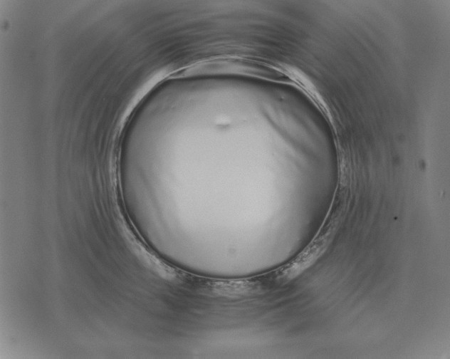 X0000071830859200607211800