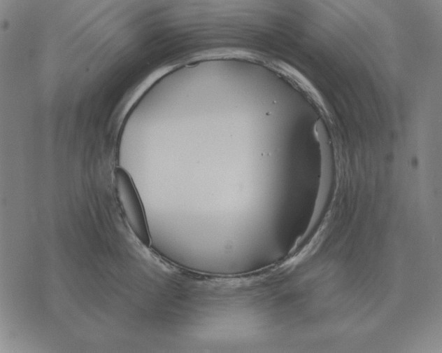 X0000071830860200607211800