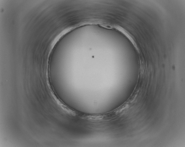 X0000071830861200607211800