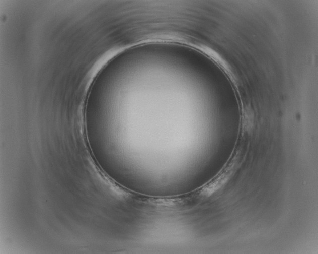 X0000071830862200607211800