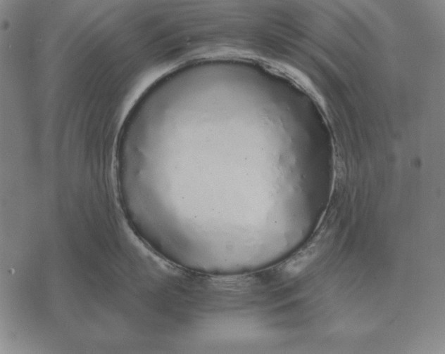 X0000071830863200607211800