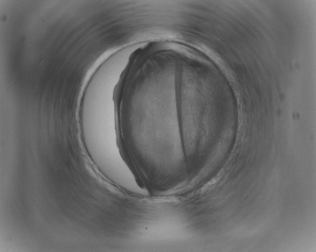 X0000071830864200607211800