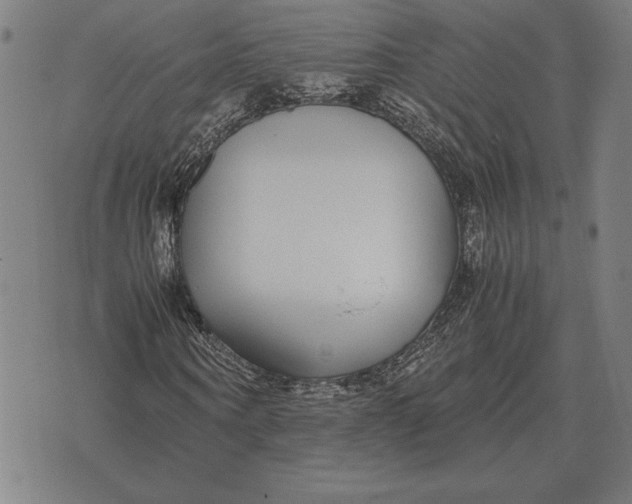 X0000071830866200607211759