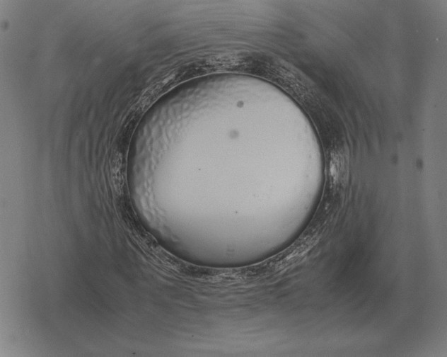 X0000071830867200607211759