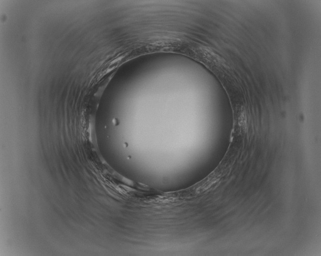 X0000071830868200607211759