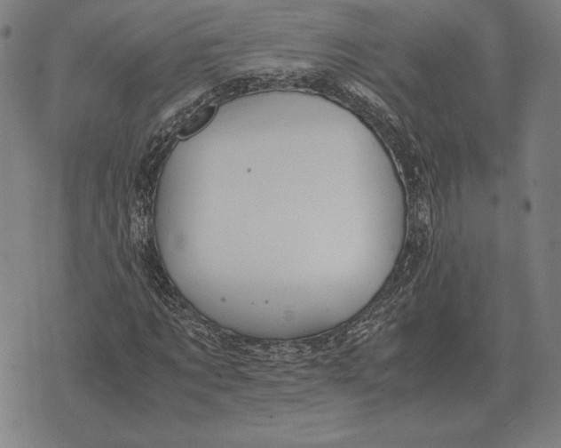 X0000071830869200607211759