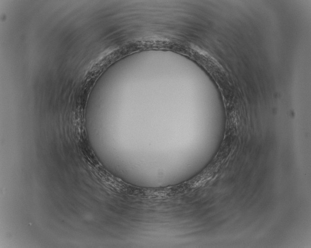 X0000071830870200607211759