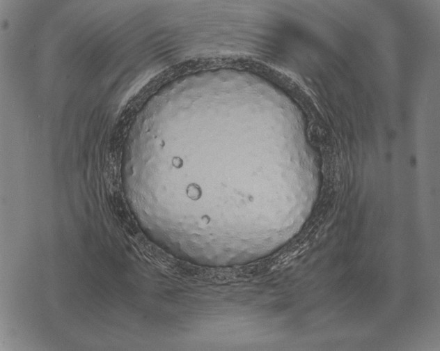 X0000071830871200607211759