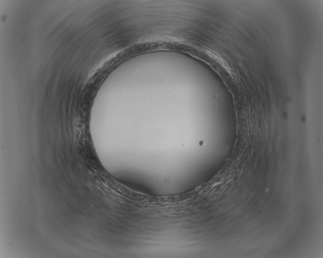 X0000071830872200607211759