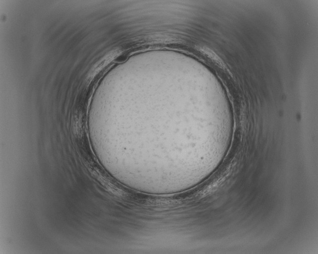 X0000071830873200607211759