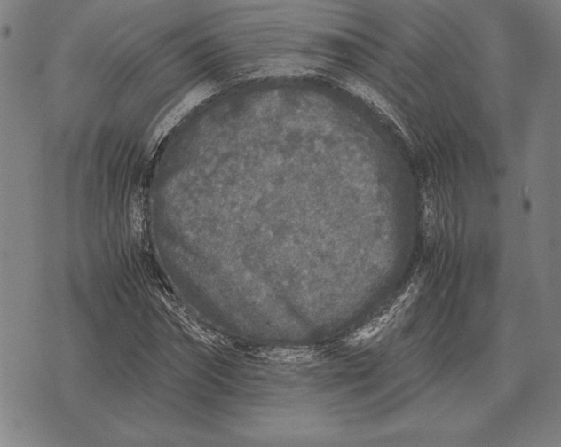 X0000071830874200607211759