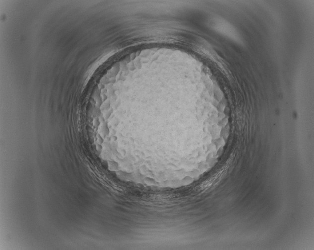 X0000071830875200607211759