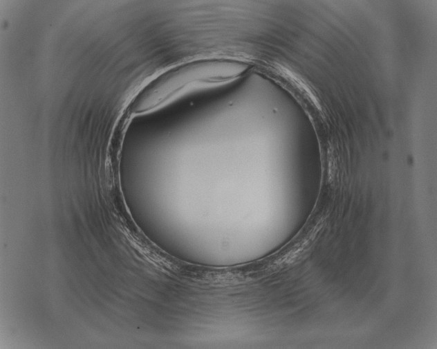 X0000071830876200607211759