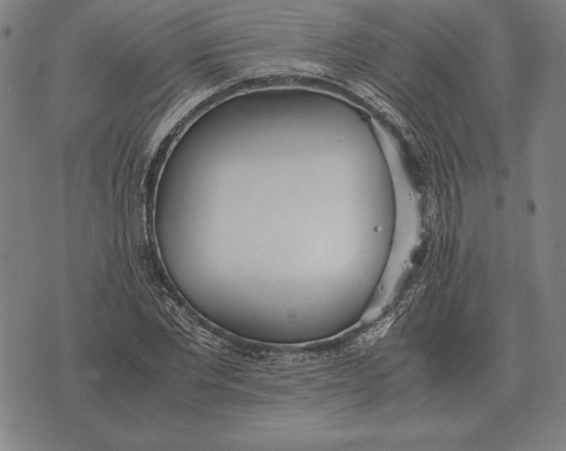 X0000071830877200607211759