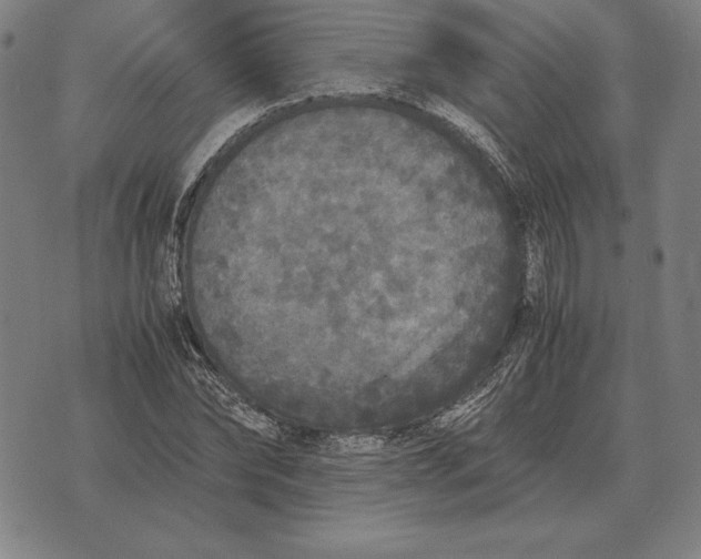 X0000071830878200607211759