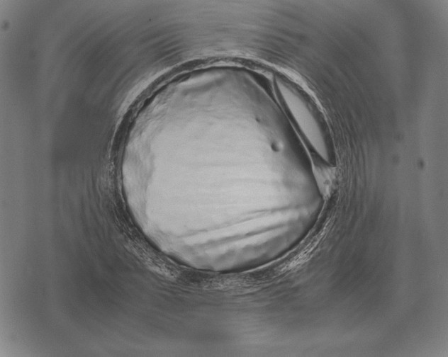 X0000071830879200607211759