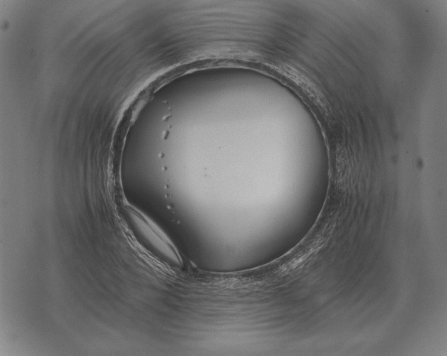 X0000071830880200607211759