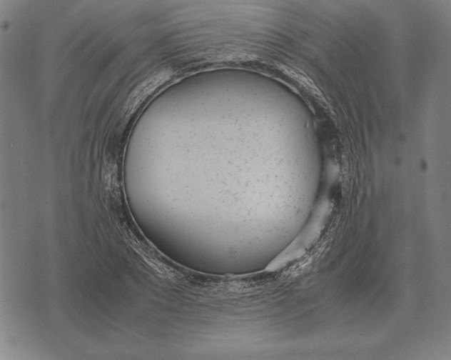 X0000071830881200607211759