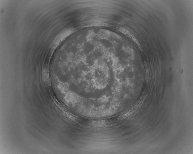 X0000071830882200607211759