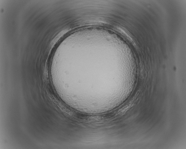 X0000071830883200607211759