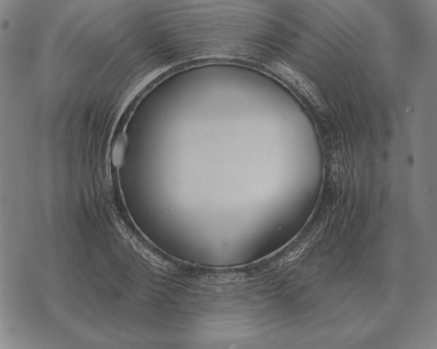 X0000071830884200607211759