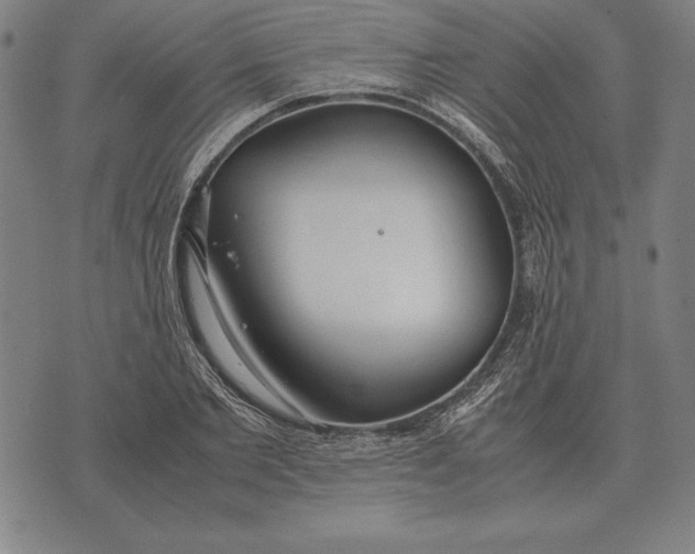 X0000071830885200607211759