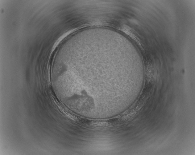 X0000071830886200607211759