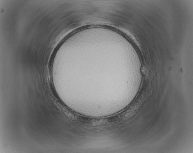 X0000071830887200607211759