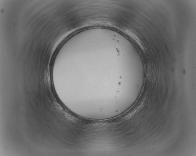 X0000071830888200607211759