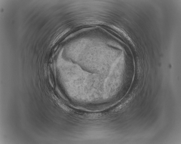 X0000071830889200607211759