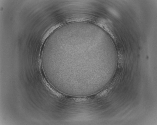 X0000071830890200607211759