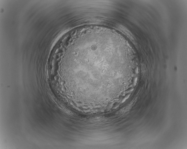 X0000071830891200607211759