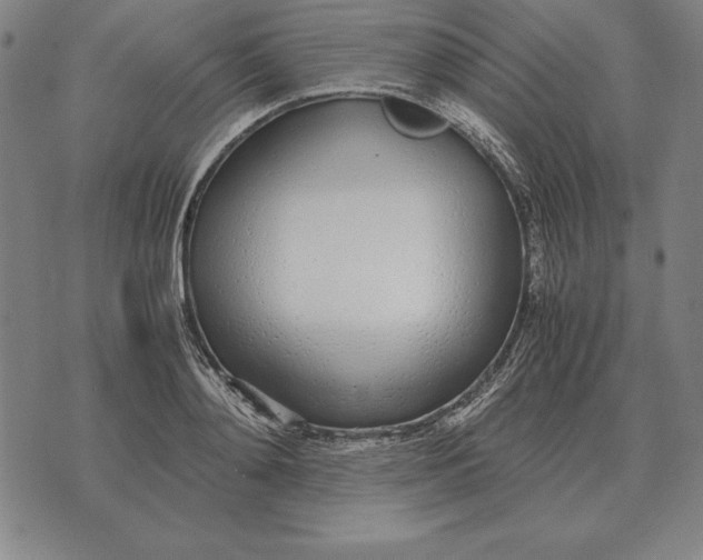 X0000071830892200607211759