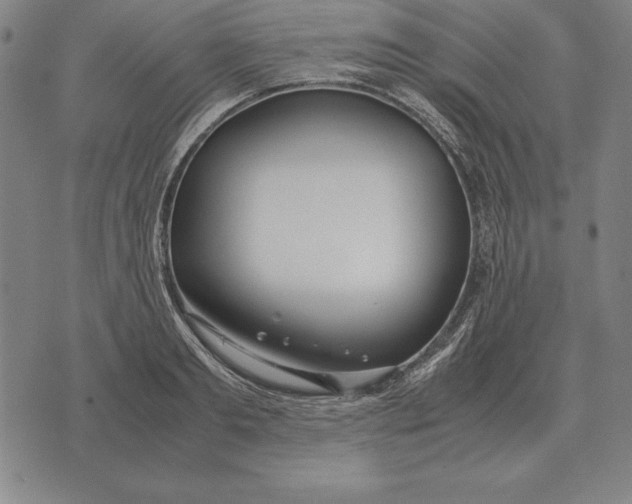 X0000071830893200607211759