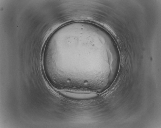 X0000071830895200607211759