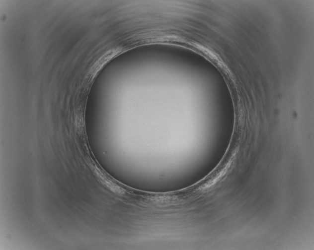 X0000071830897200607211759