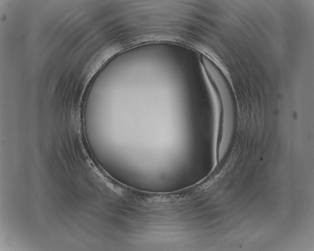 X0000071830898200607211759