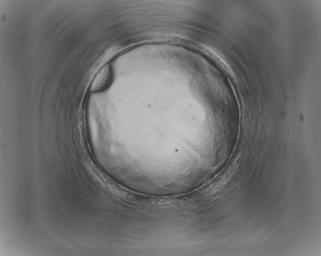 X0000071830899200607211759