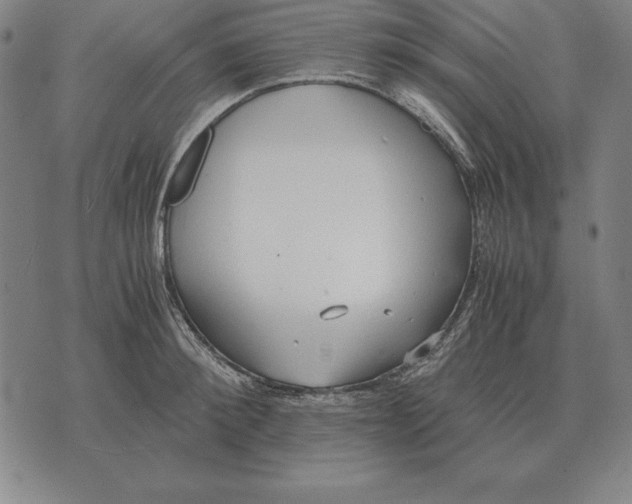 X0000071830900200607211759