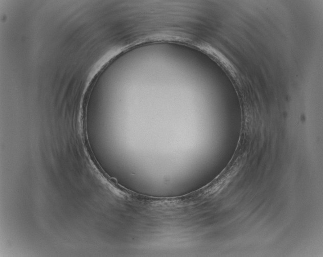 X0000071830902200607211759