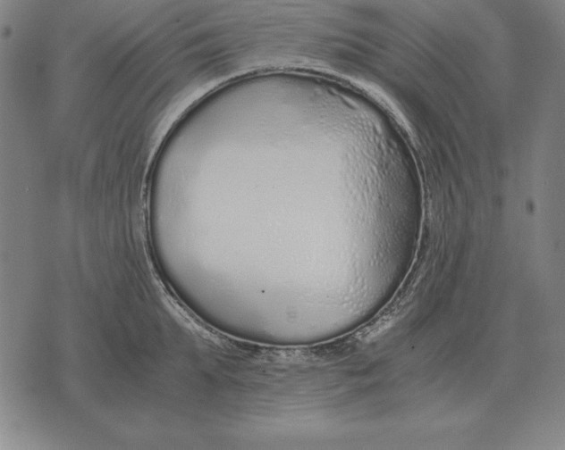 X0000071830903200607211758