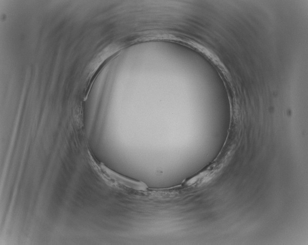 X0000071830905200607211758