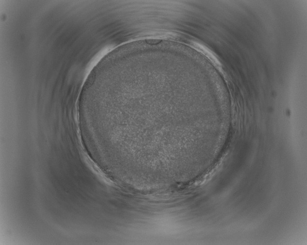 X0000071830907200607211758