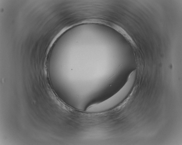 X0000071830908200607211758