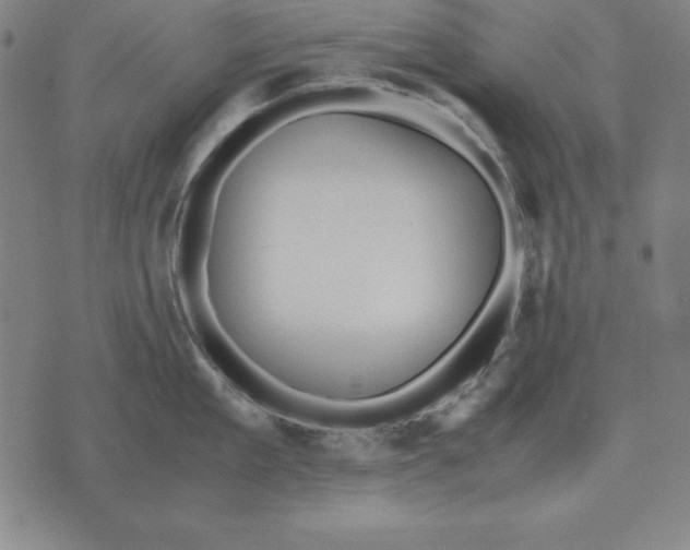 X0000071830909200607211758