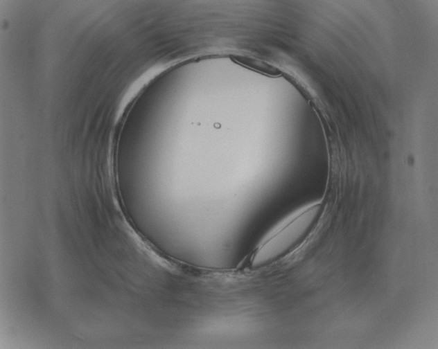 X0000071830910200607211758