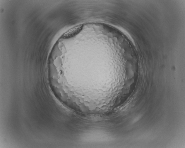 X0000071830911200607211758