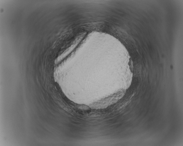 X0000071830913200607211758