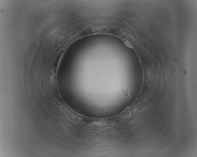 X0000071830914200607211758