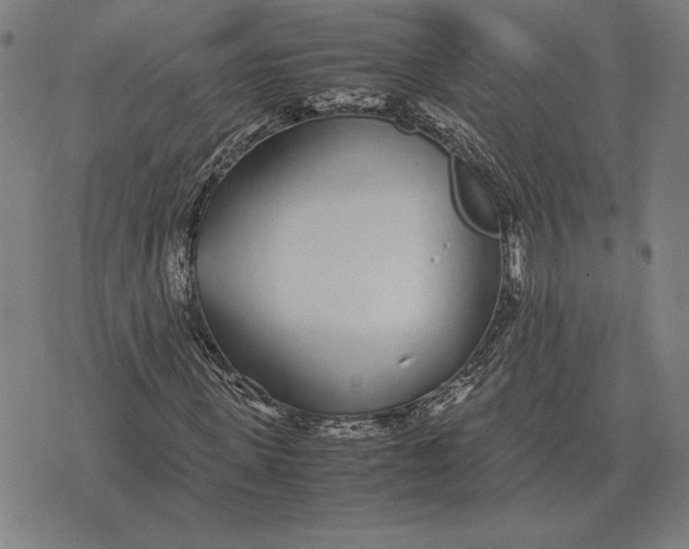 X0000071830915200607211758